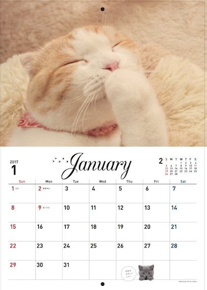SNSで人気のねこ達がムックに！『ねこもえ』発売