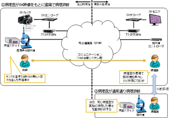 「遠隔病理診断モデル」の概要。虎の門病院と東京大学医学部附属病院の間に8Kカメラをセットした遠隔操作顕微鏡システムを構築し、遠隔診断と直接診断の比較検証を行う（画像はプレスリリースより）