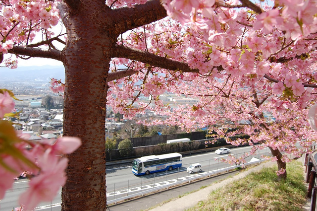 全国で毎日1万便以上運行される高速バス