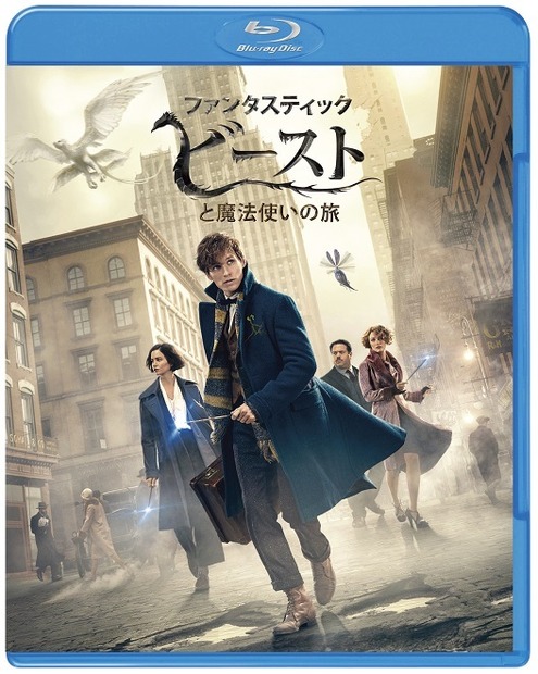 発売・販売元：ワーナー・ブラザース ホームエンターテイメント(c) 2016 Warner Bros. Ent. All Rights Reserved. Harry Potter and Fantastic Beasts Publishing Rights (c) JKR.