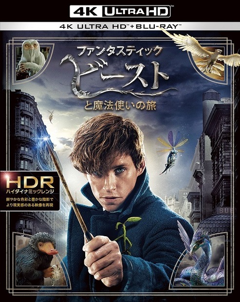 発売・販売元：ワーナー・ブラザース ホームエンターテイメント(c) 2016 Warner Bros. Ent. All Rights Reserved. Harry Potter and Fantastic Beasts Publishing Rights (c) JKR.