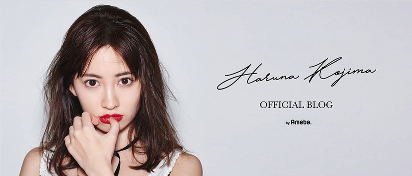 AKB48・小嶋陽菜が卒業コンサート後初のブログ！メンバーや関係者に感謝