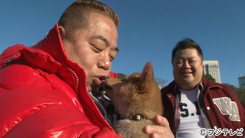 出川哲朗が柴犬と珍道中!?　芸能人たちの