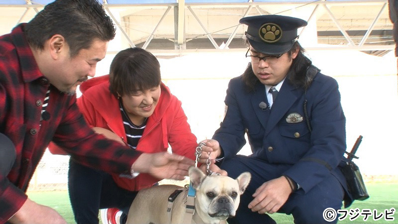 出川哲朗が柴犬と珍道中!?　芸能人たちの