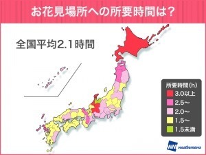 4人に1人は花見に行かない？全国の花見事情をウェザーニューズが調査