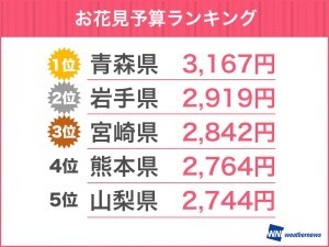 4人に1人は花見に行かない？全国の花見事情をウェザーニューズが調査