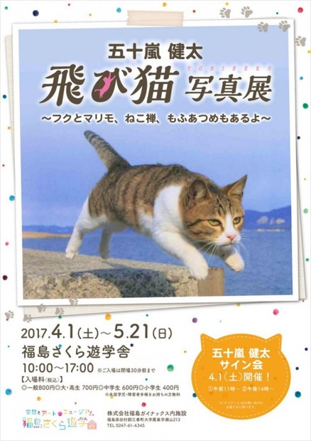 『飛び猫』写真展が開催！「春の飛び猫写真展　全国巡回」栃木・福島・京都の3都市で！