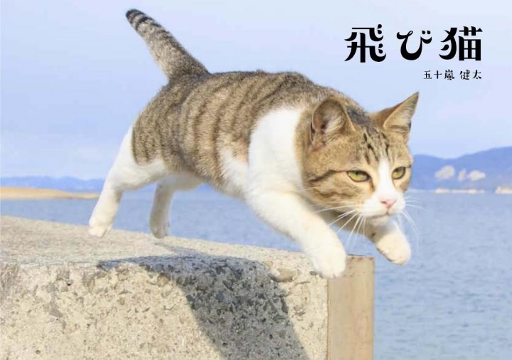 『飛び猫』写真展が開催！「春の飛び猫写真展　全国巡回」栃木・福島・京都の3都市で！