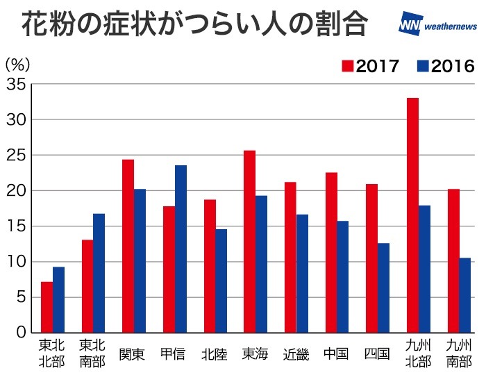 ヒノキ花粉症の方はご注意を！西～東日本はまもなくヒノキ花粉の飛散量がピークに