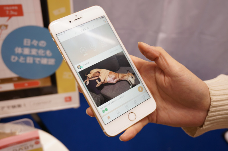 アプリに撮影した写真や日記をつけてペットの健康を管理