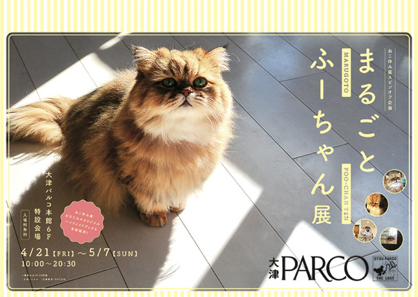 「ねこ休み展」のゴールデンウィーク巡回展とスピンオフ企画の開催が決定