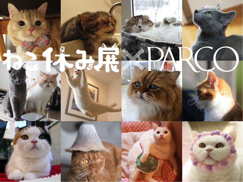 「ねこ休み展」のゴールデンウィーク巡回展とスピンオフ企画の開催が決定