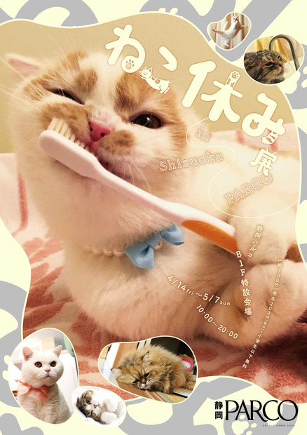 「ねこ休み展」のゴールデンウィーク巡回展とスピンオフ企画の開催が決定