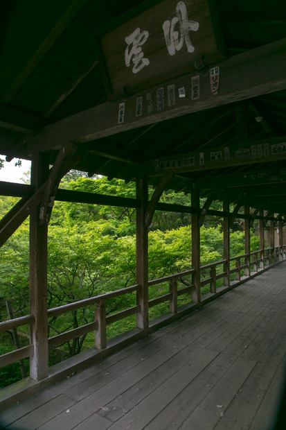 秋の紅葉の頃は歩くのも困難だという東福寺も、青もみじの時期は比較的ゆったりとまわれる