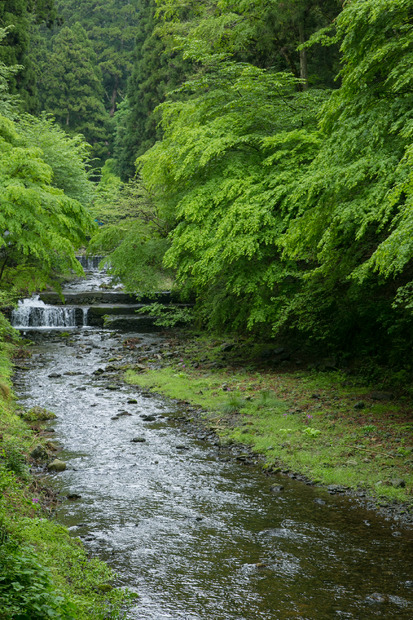 貴船神社の隣に流れる貴船川