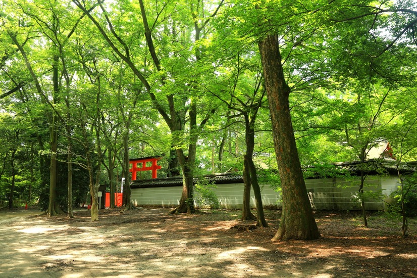 下鴨神社の摂社で美麗の神として信仰を集める河合神社