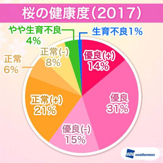 日本の桜が危ない？！健康度は昨年に続き過去最悪を継続