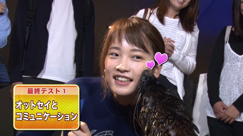 川栄李奈、水族館飼育員に挑戦！一人前の飼育員として認められるのか？