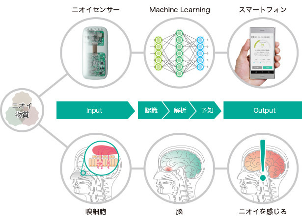 ニオイ学習のフロー