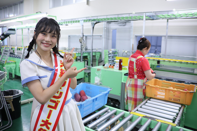 SKE48が「沖縄マンゴー大使」に！センターの小畑優奈が任命式に出席