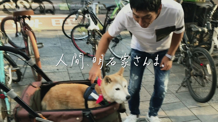 明石家さんまが“本音”と“主義”を明かす「Netflix」のウェブムービーが公開