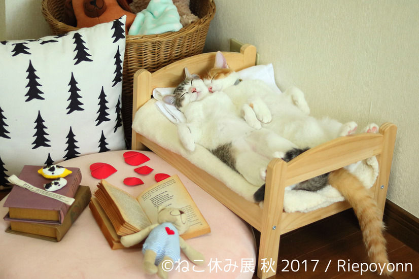 「ねこ休み展 秋 2017」の開催が決定！新作も多数展示