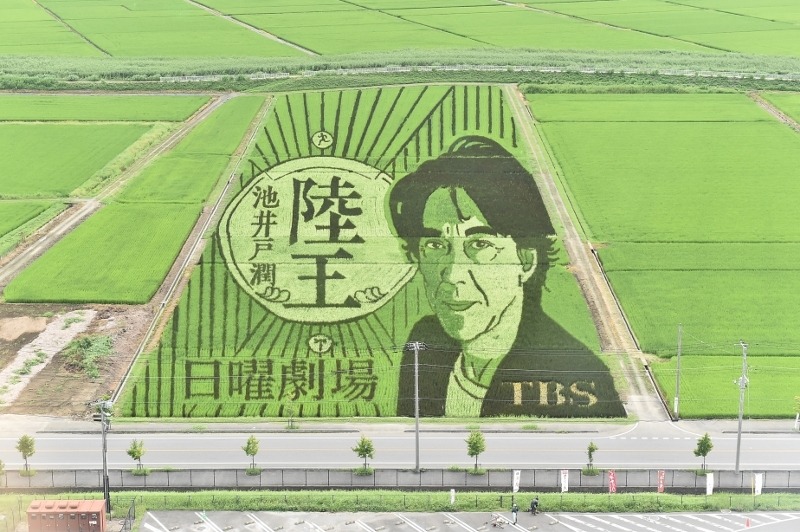 (c)TBS