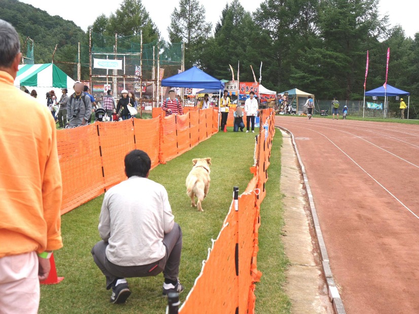 【八ヶ岳ドッグフェスタ　Vol.2】来場者が増加中！愛犬と楽しみ、犬について学んだ2日間