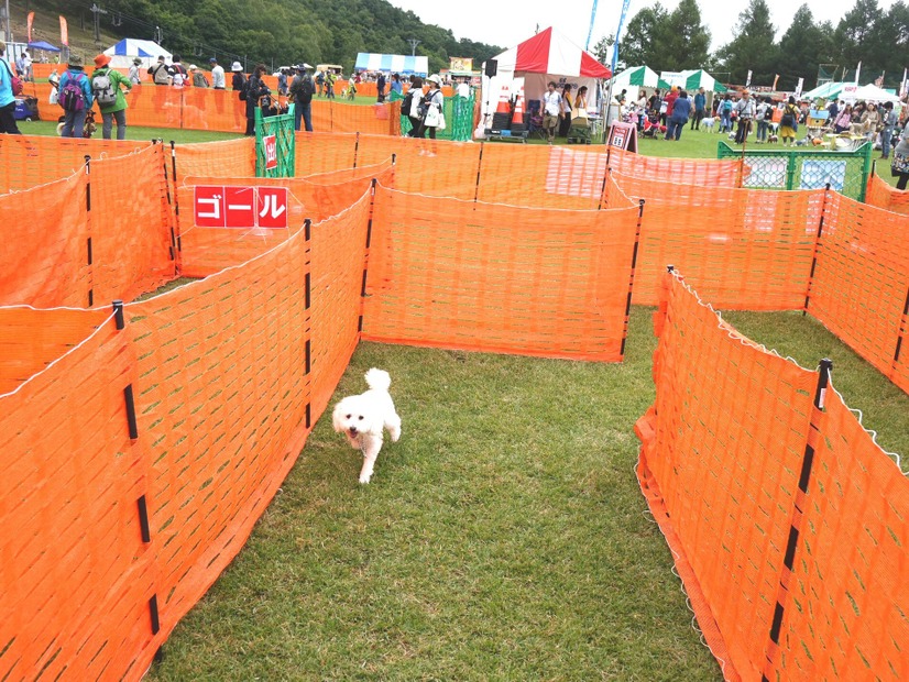 【八ヶ岳ドッグフェスタ　Vol.2】来場者が増加中！愛犬と楽しみ、犬について学んだ2日間