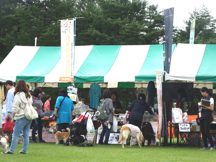 【八ヶ岳ドッグフェスタ　Vol.2】来場者が増加中！愛犬と楽しみ、犬について学んだ2日間