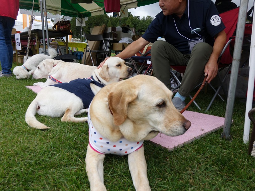 【八ヶ岳ドッグフェスタ　Vol.2】来場者が増加中！愛犬と楽しみ、犬について学んだ2日間