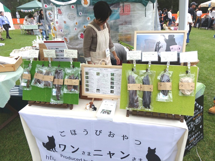 【八ヶ岳ドッグフェスタ　Vol.2】来場者が増加中！愛犬と楽しみ、犬について学んだ2日間