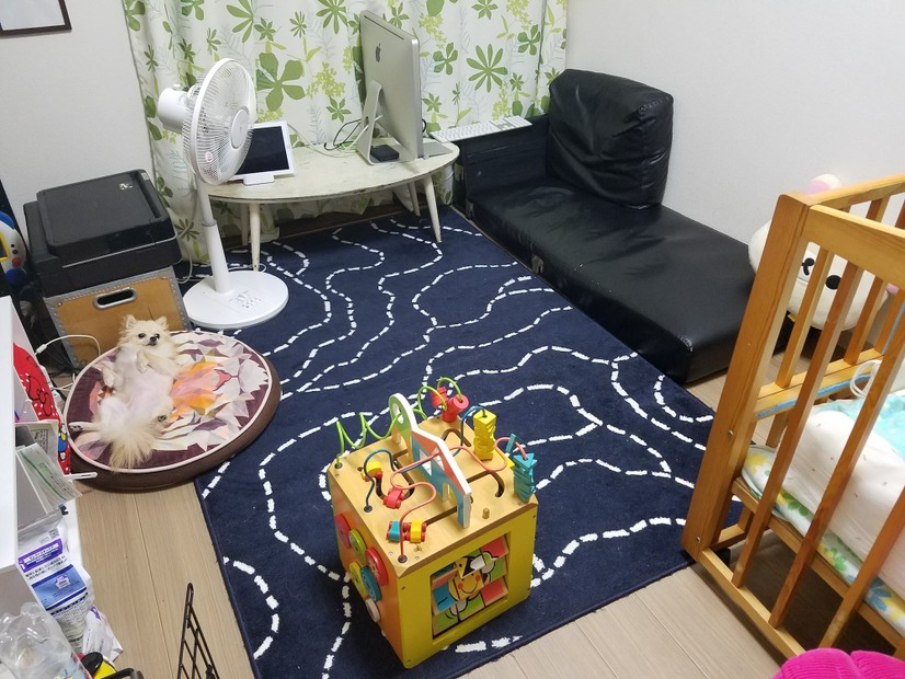 リビングでは室内犬がゴロゴロ＆子どものおもちゃ