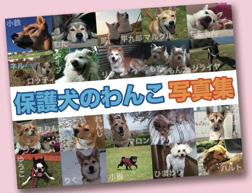 保護犬写真集のクラウドファンディングがスタート