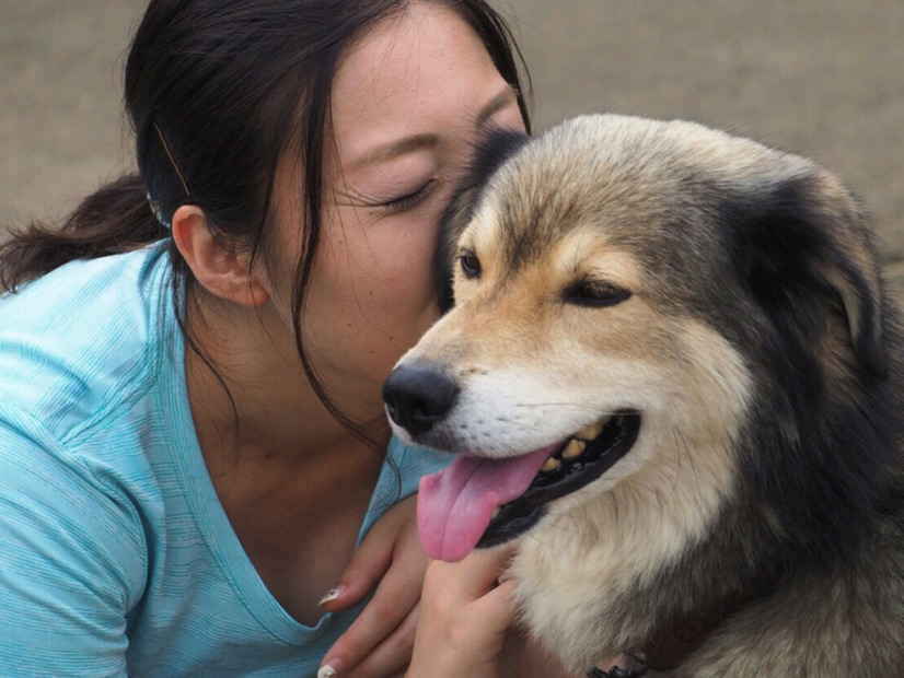 保護犬写真集のクラウドファンディングがスタート