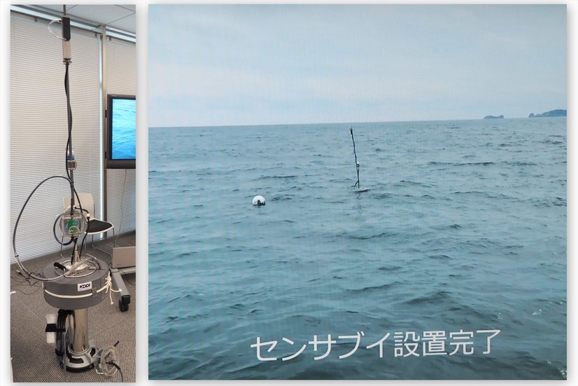スマートブイを海に浮かべてデータを取得する。そんなKDDIの取り組みに、東松島市の漁師たちが協力している