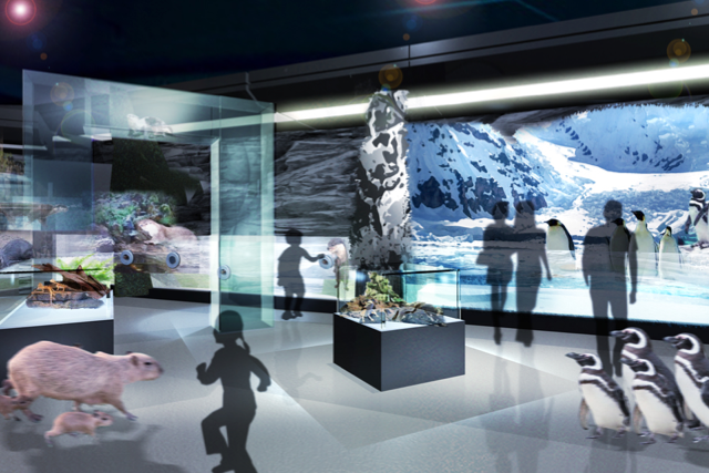 「DMM.com」が水族館オープン！リアルと最新映像技術をミックス
