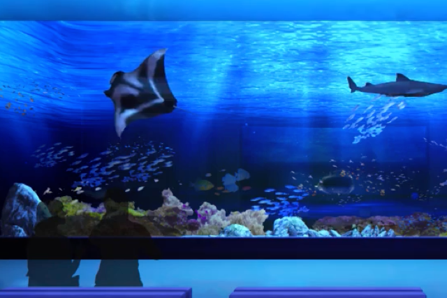 「DMM.com」が水族館オープン！リアルと最新映像技術をミックス