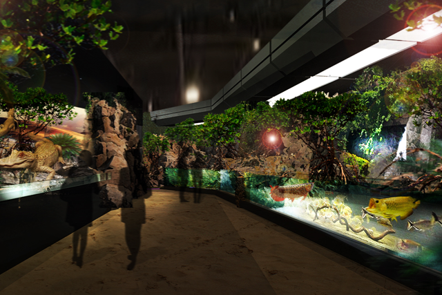 「DMM.com」が水族館オープン！リアルと最新映像技術をミックス