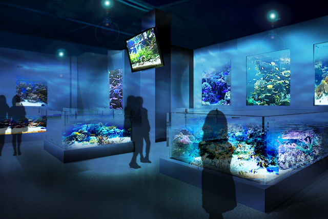 「DMM.com」が水族館オープン！リアルと最新映像技術をミックス