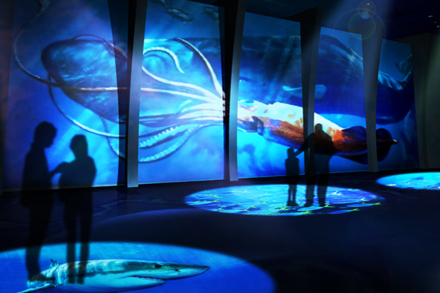 「DMM.com」が水族館オープン！リアルと最新映像技術をミックス