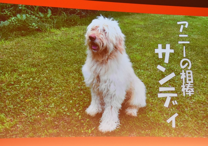 ミュージカル『アニー』2018年公演は犬のサンディも舞台初挑戦の新キャストに。