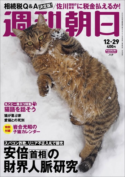 95年の歴史で初めて表紙が猫に！明日19日発売の「週刊朝日」は丸ごと一冊が猫だらけ