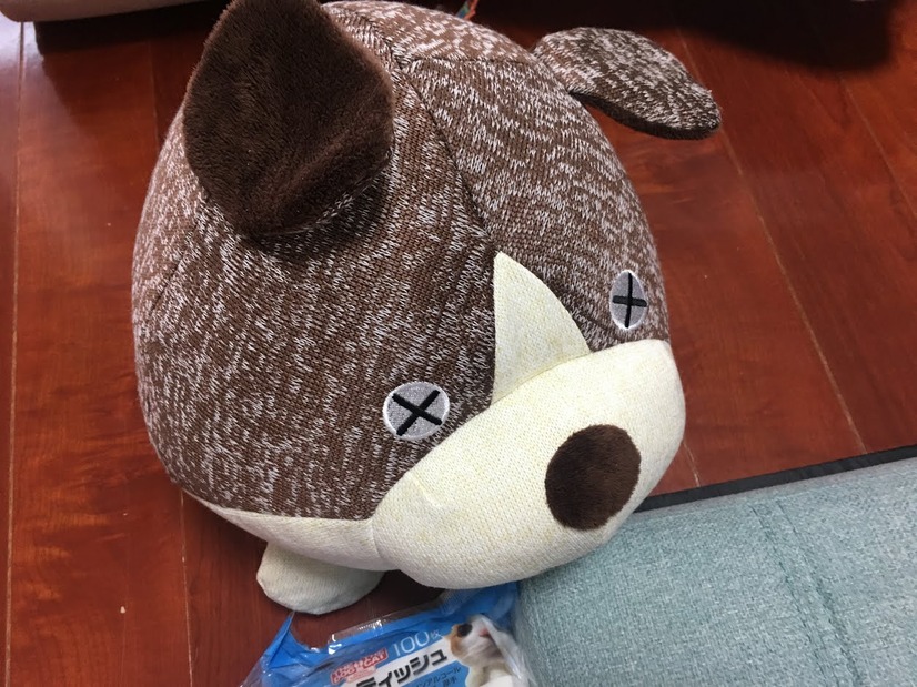 イオンモールでペット用福袋を買ってみた！