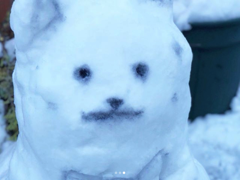 平祐奈オフィシャルブログより