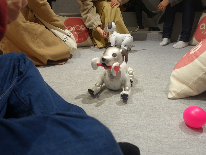 「ロボットペットはアリなのか？」たしかに犬っぽいAIBOに感心