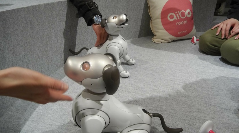 「ロボットペットはアリなのか？」たしかに犬っぽいAIBOに感心