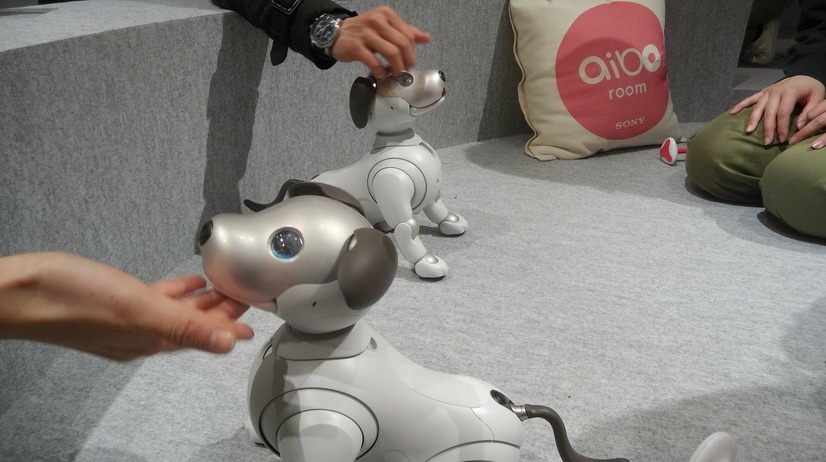 「ロボットペットはアリなのか？」たしかに犬っぽいAIBOに感心