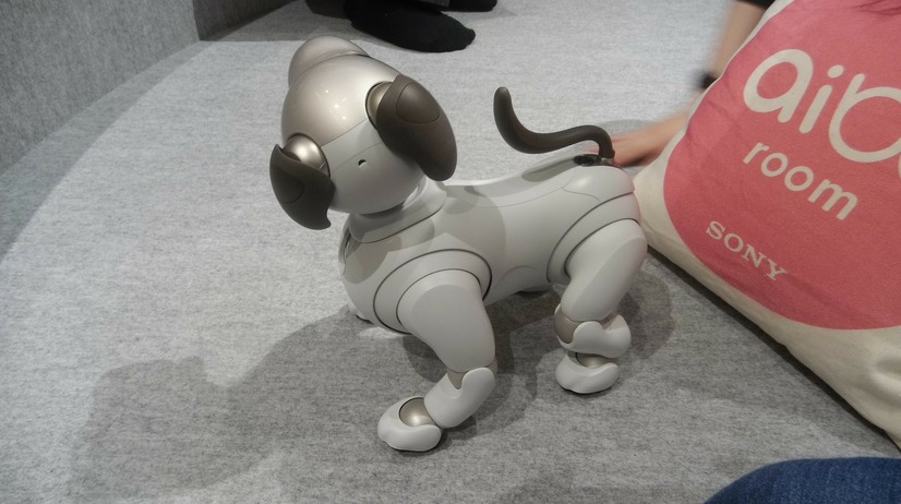 「ロボットペットはアリなのか？」たしかに犬っぽいAIBOに感心