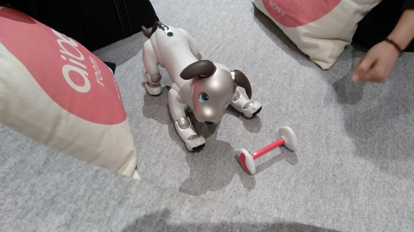 「ロボットペットはアリなのか？」たしかに犬っぽいAIBOに感心